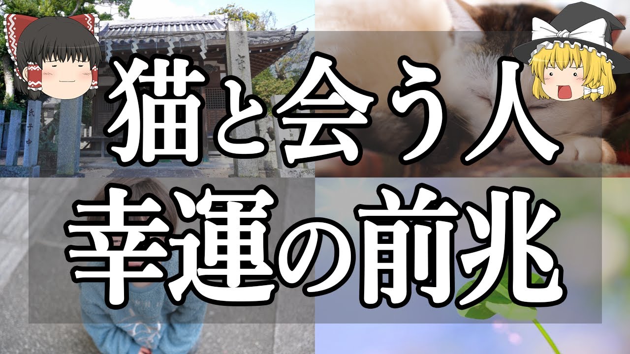 【ゆっくり解説】神社で猫に会う人の特徴5選