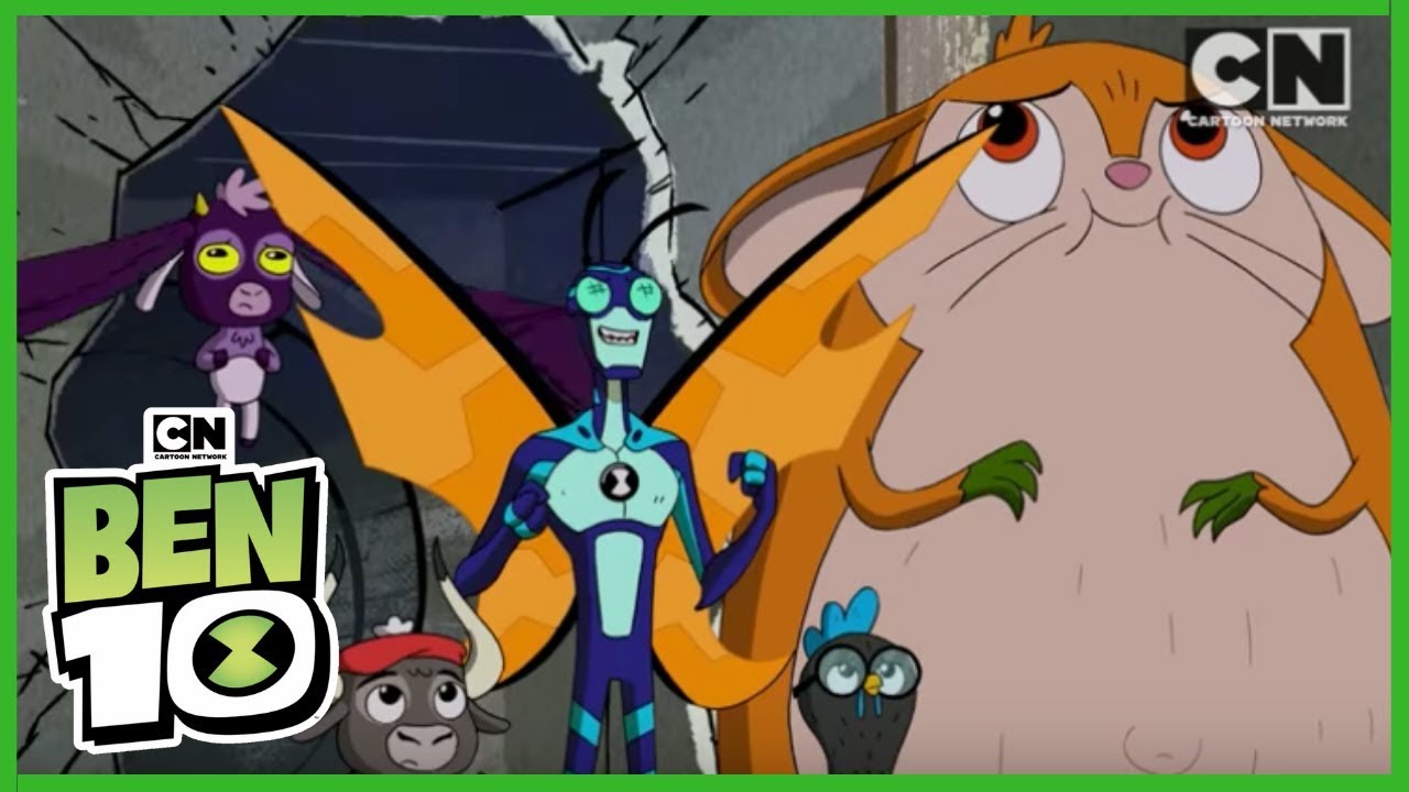 Ben 10 | Top Stinkfly Moments (Hindi) | Cartoon Network