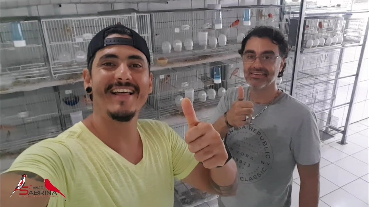 O MAIS NOVO CRIADOR DE VERMELHO MOSAICO