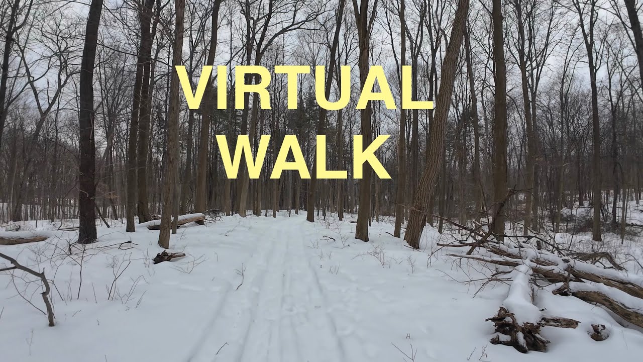 VIRTUAL WALK SNOW WOODS FOREST (No Voices)