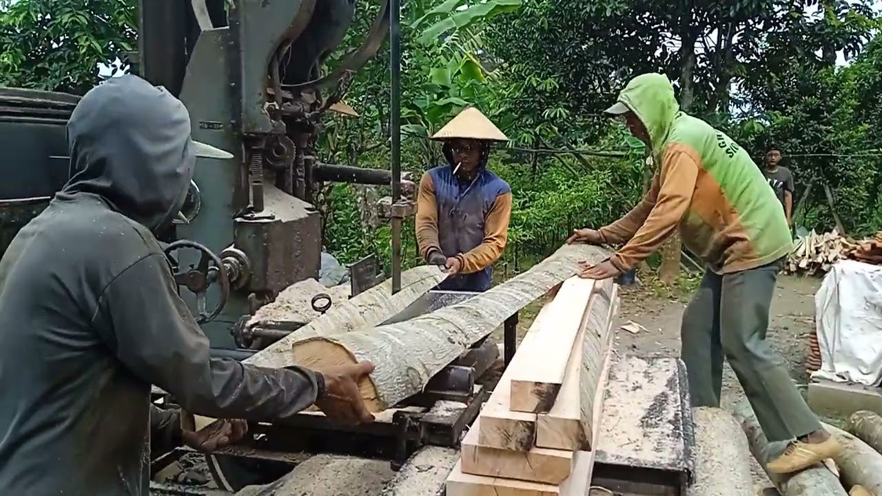 Membuat kaso 4x6 panjang 2 meter dari kayu sengon..!!! Dengan gergaji mesin bandsaw rakitan