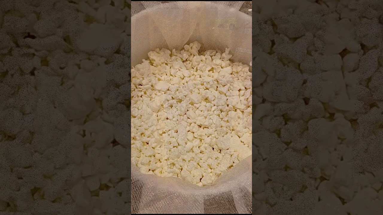 Homemade Parmesan Cheese ~ Pure, Simple, and Crafted With Care #Cheesemaking