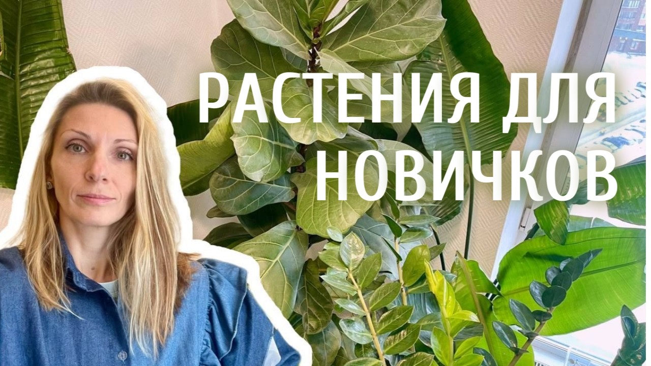 ТОП-10 РАСТЕНИЙ КОТОРЫЕ ВЫЖИВУТ / минимум ухода, максимум красоты