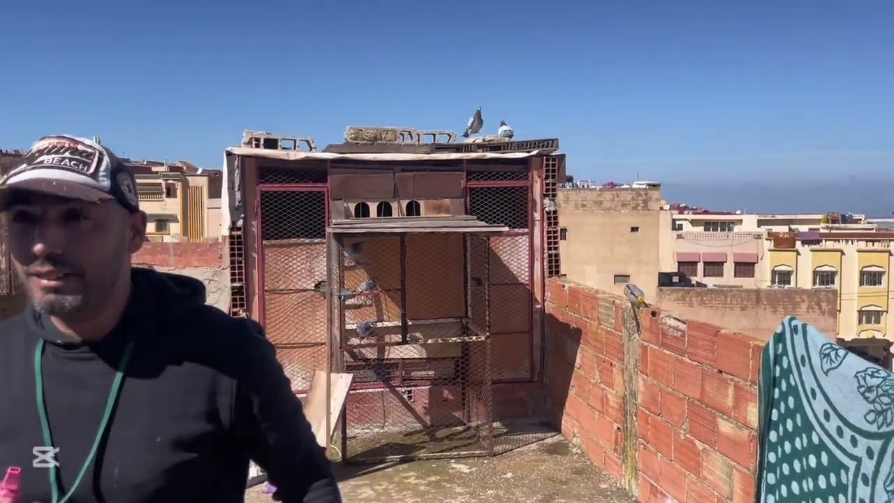 دخول الحمام من المطلق الصعب الكارة 170 كلم🕊️