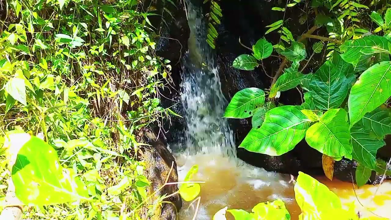 Suara air sungai yang meluluhkan otak
