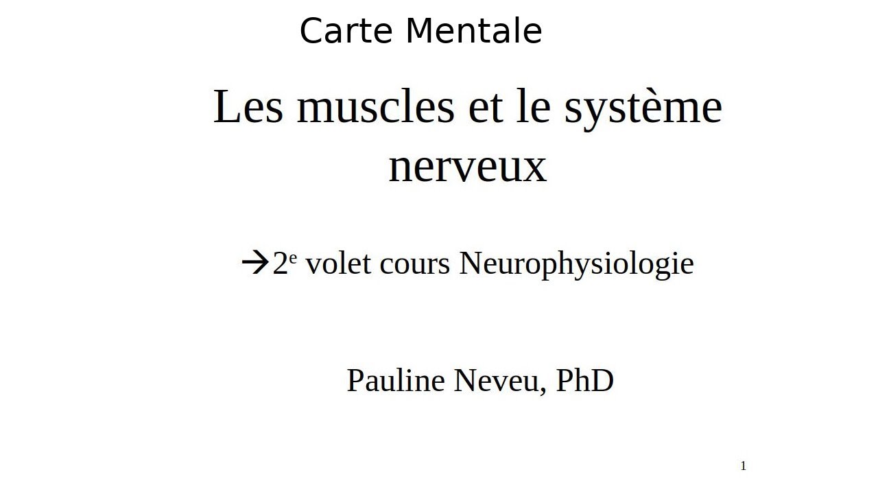 Neurophysiologie – carte mentale 006 – Les muscles et le système nerveux – Dr Pauline Neveu