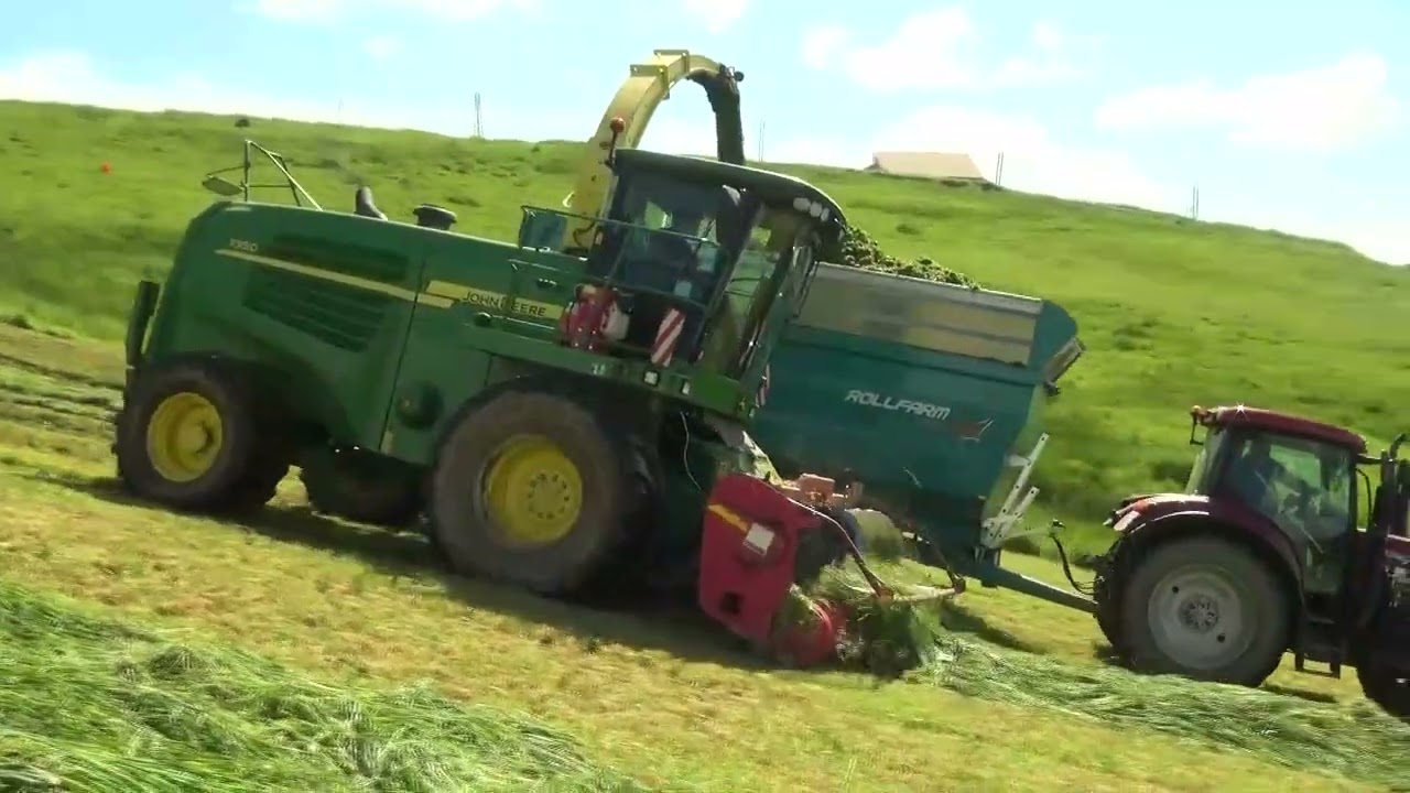 Ensilage 2024 chez Therry