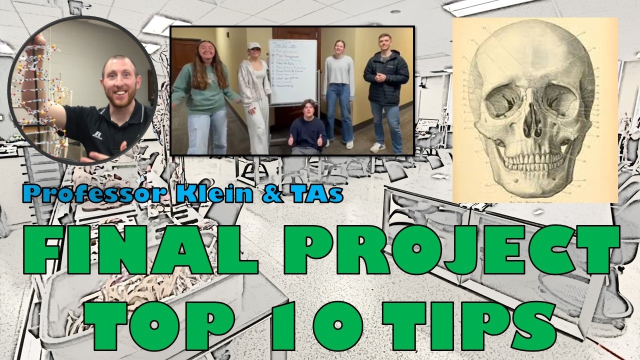 Final Project Tips (TAs & Professor Klein)