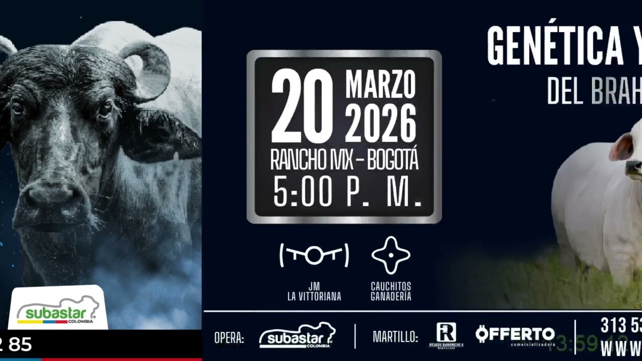 Subastar Virtual - Presencial San Pedro 11-03-2026