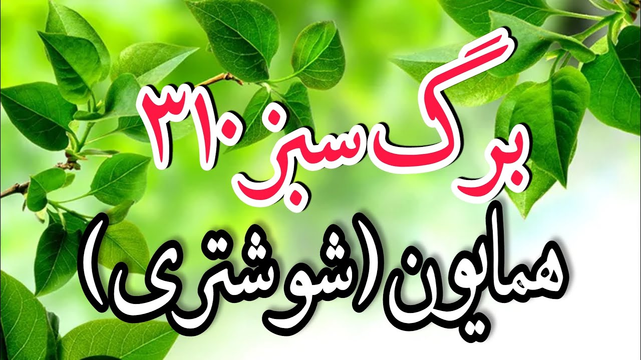 برگ سبز شماره 310