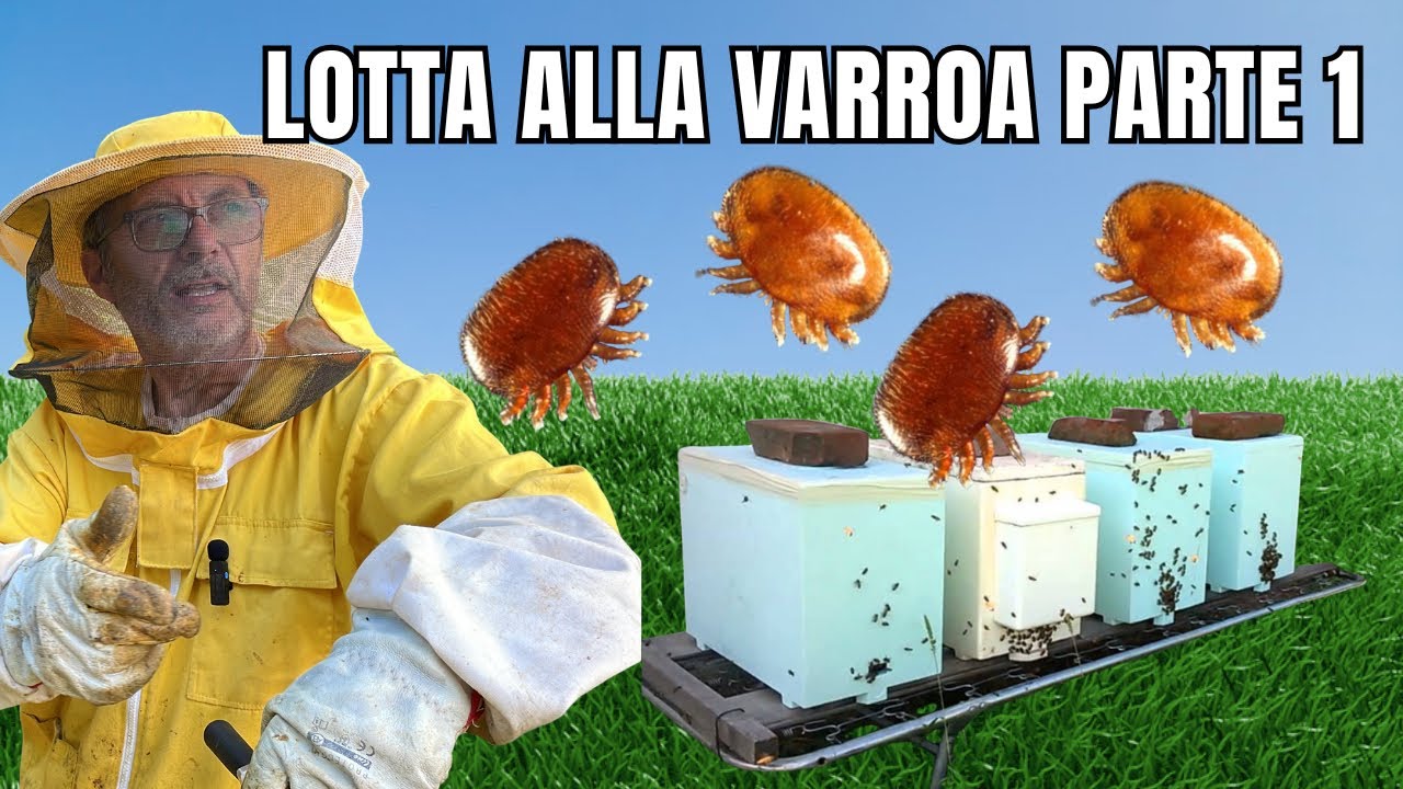 TRATTAMENTI ANTI VARROA