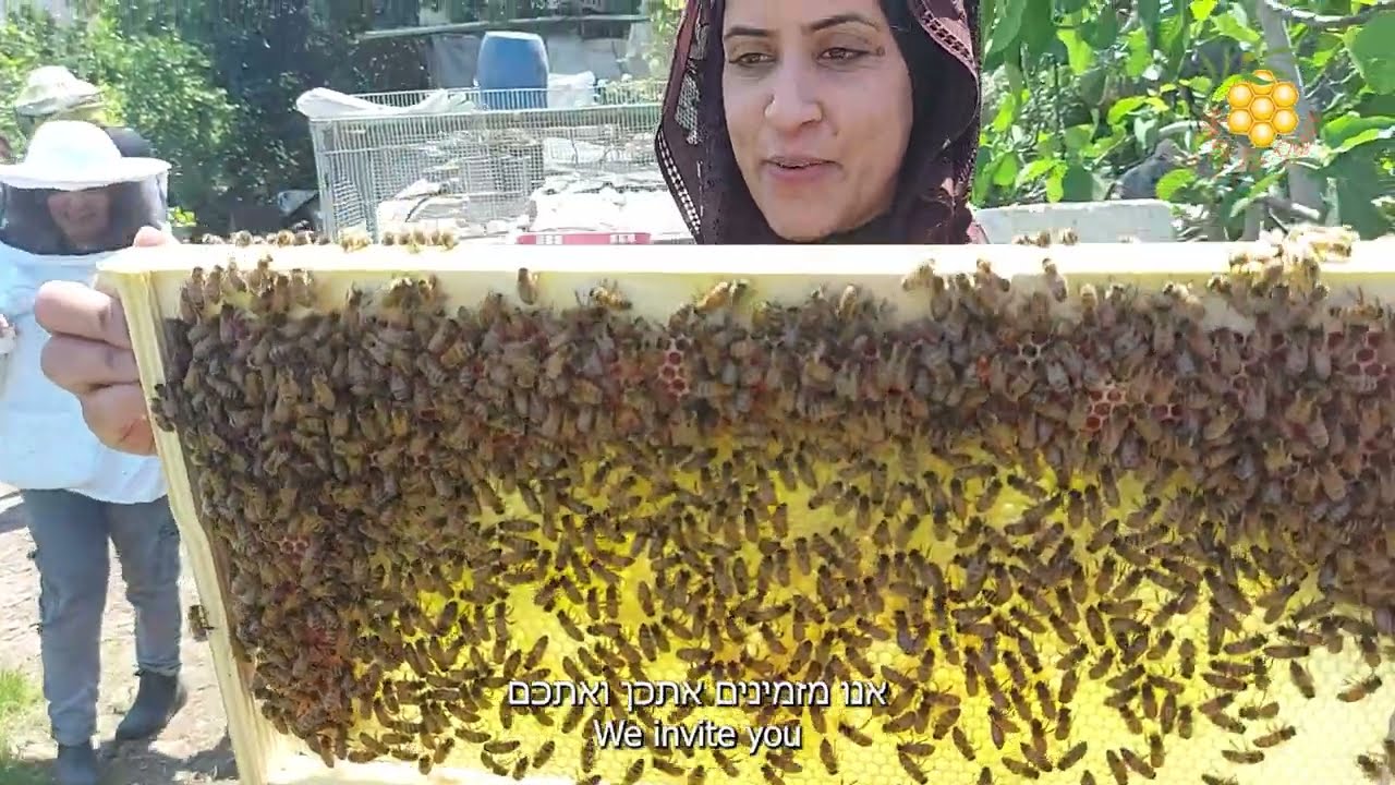 נשות הדבש - Bees For Peace למען הדבורים והסביבה ולחוסן משפחתי, כלכלי, חברתי, תזונתי, מימון המונים...