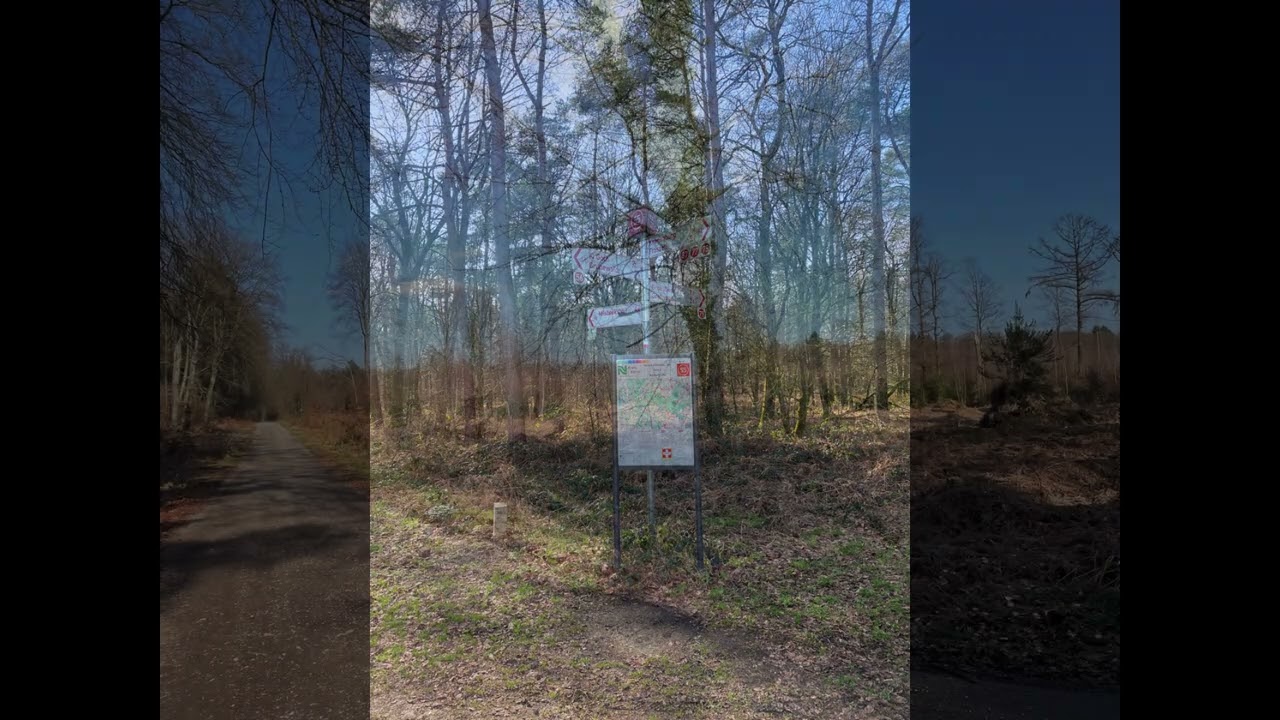 Reichswald en de Diepen 26 2 2026