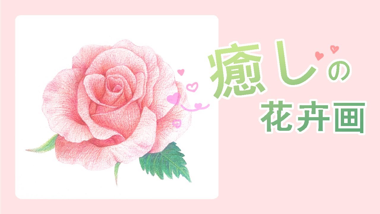 #70《粉彩畫花卉 / 畫玫瑰花 / 畫粉色花朵 》粉彩 + 色鉛筆