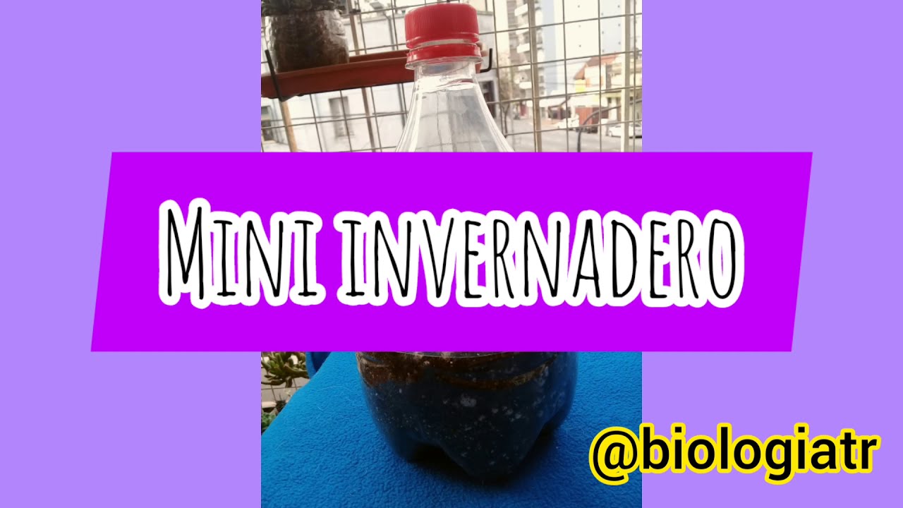 Mini invernadero con botella de pl&aacute;stico.