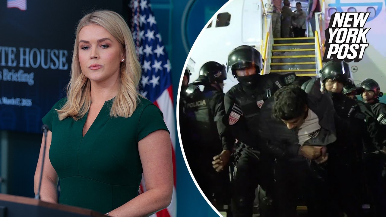 White House says it’s ‘focused on detaining, arresting, and deporting illegal criminal aliens’