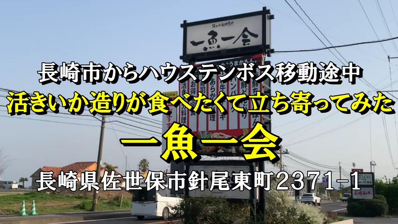 長崎県佐世保市　一魚一会　ハウステンボスに向かう途中　活きいか造りが食べたくて立ち寄ってみたが
