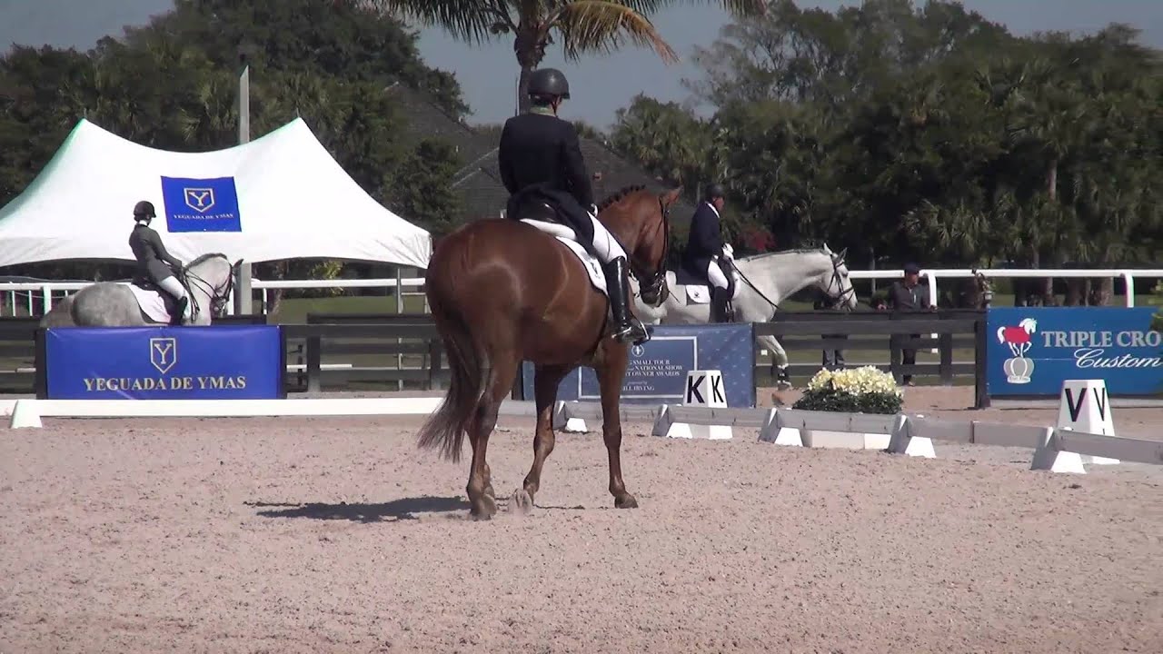 Ilse Schwarz Don Joseph PSG 2 15 15 ILSE@HORSESPROTUSA Cadenza123