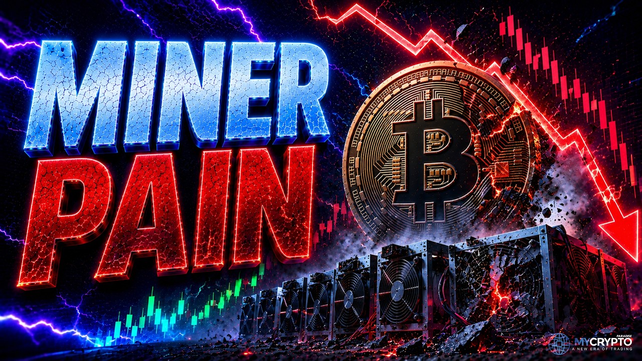 BITCOIN: Miner Margins Collapse, When Does Capitulation Finally Hit?