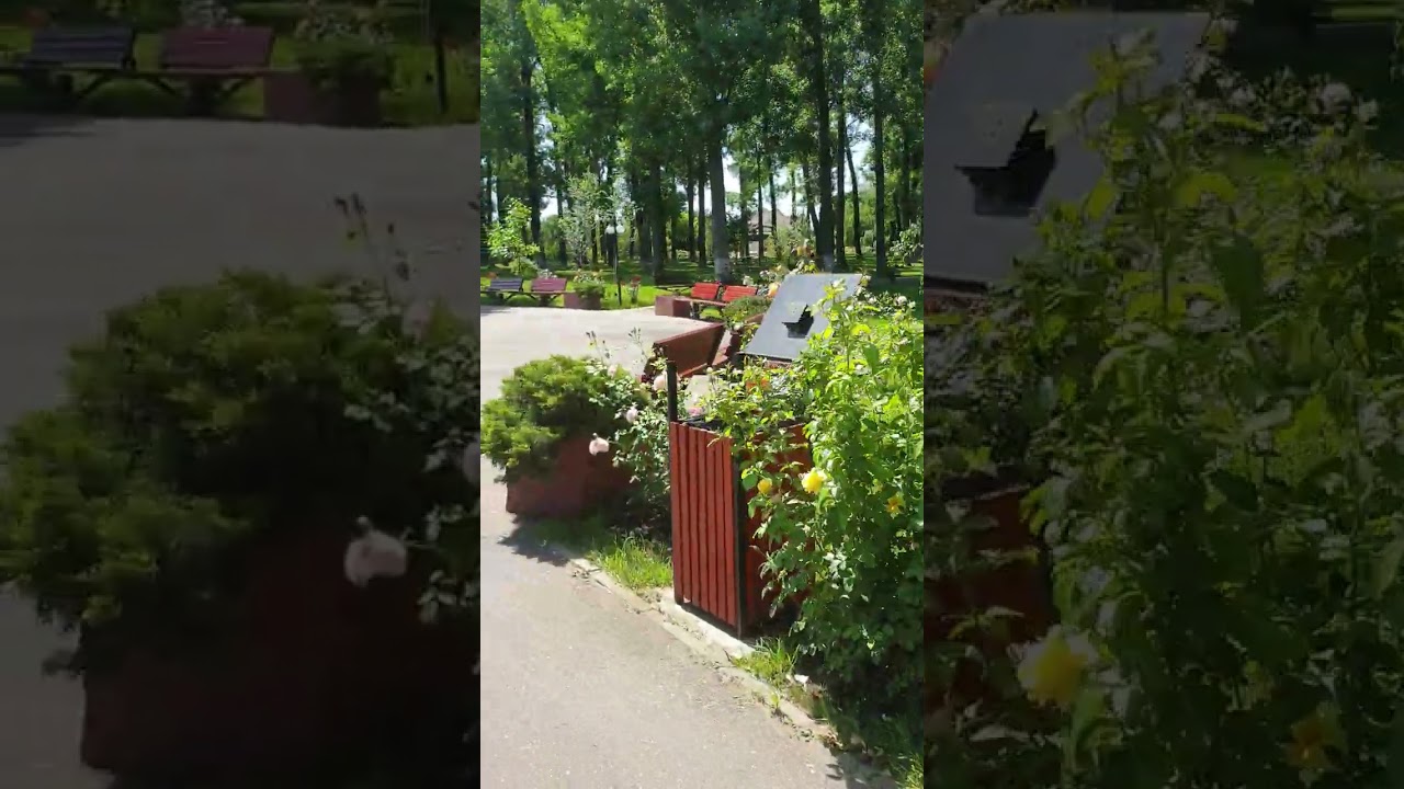 Pădurea Vedea-Alexandria, cel mai frumos parc de agrement din România!