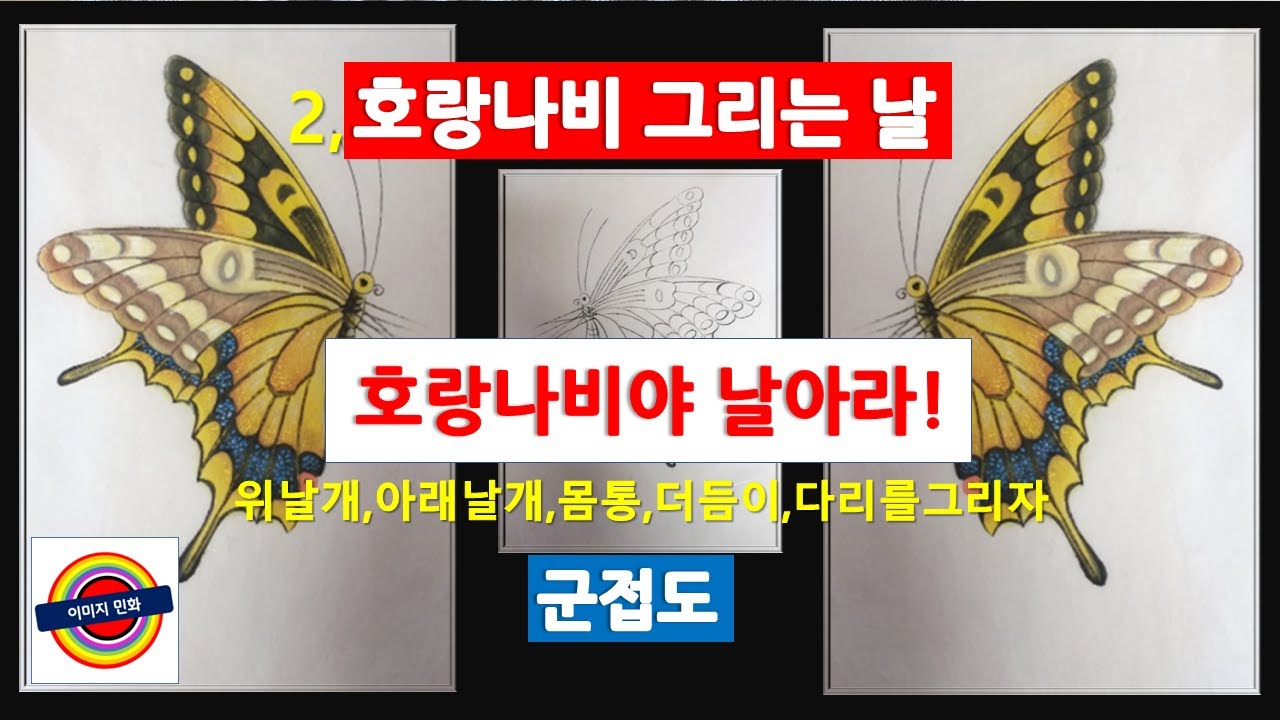 민화그리기,호랑나비그리기,민화강좌,나비그리기,화접도,이숙경민화,화접도,이미지민화