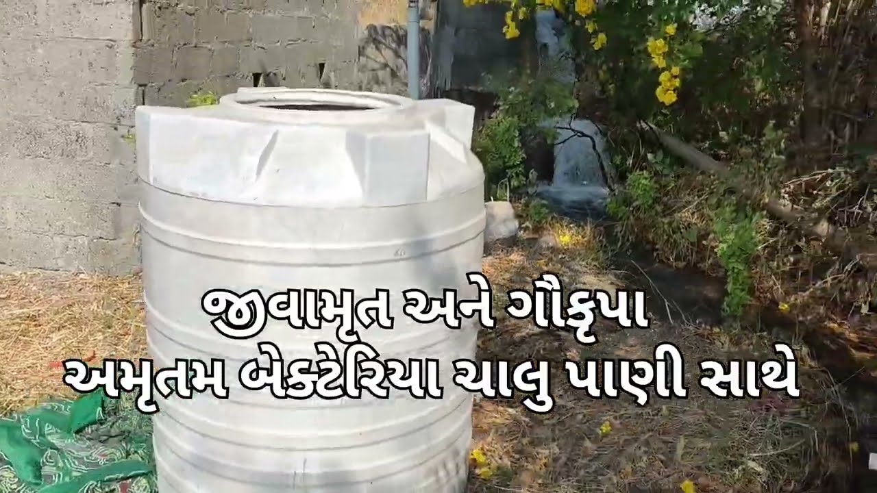 અમેરિકા થી અમારી વાડીની મુલાકાતે મહેમાન આવ્યા.