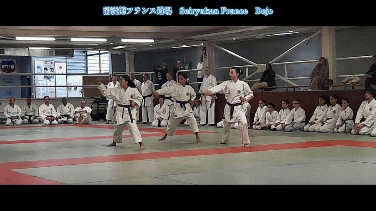 Фотоколлекция филиала Seiryukan во Франции #seiryukan #karate #karatekobudo