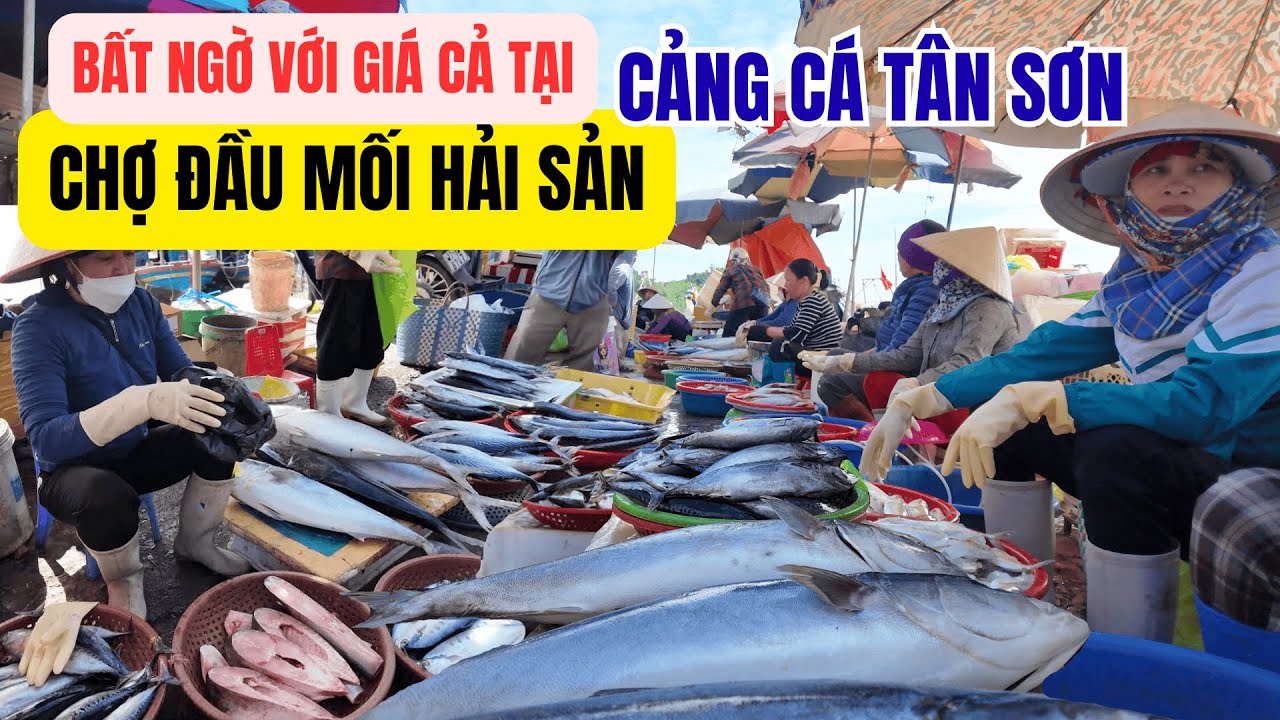 Chợ Cá Cảng Tân Sơn - Chợ Đầu Mối Hải Sản Lớn Nhất Hưng Yên - Hải Sản Giá Tận Gốc Siêu Rẻ