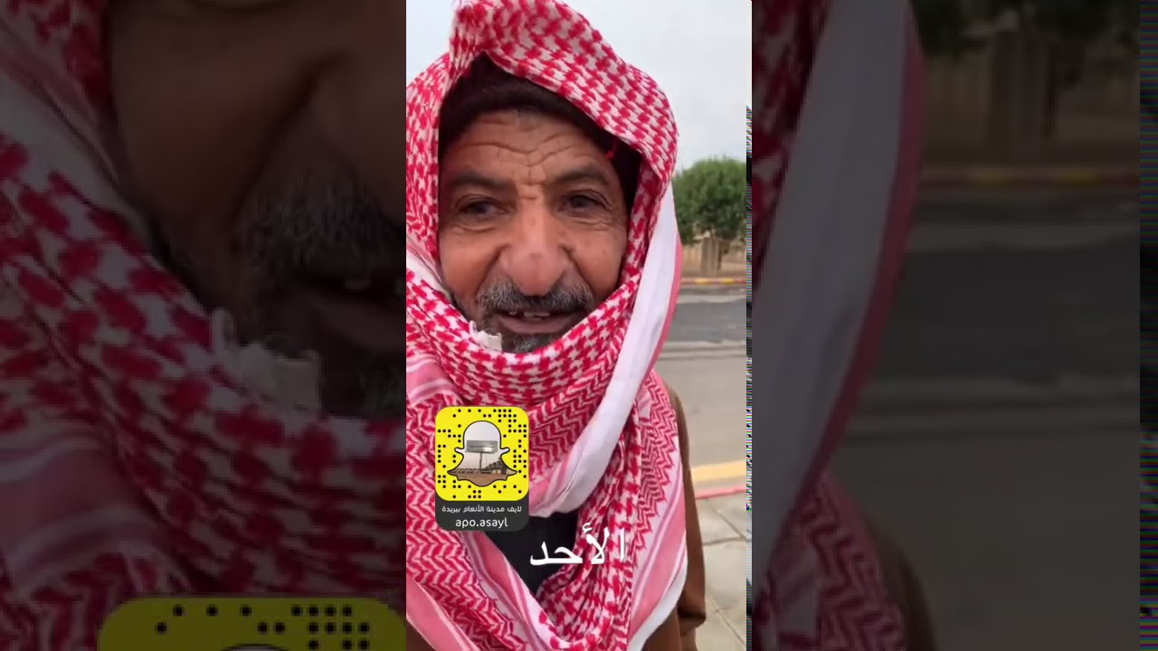 ترجمة المصطلحات الدارجة في تسويق وتربية الأغنام