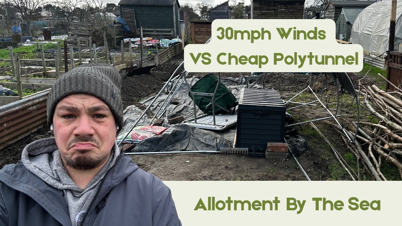 It's a DISASTER... Cheap Polytunnel vs. High Wind! 😭 | DIY Fencing Continues
