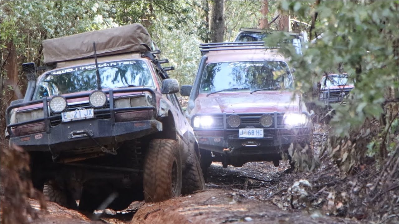 Harry's Bucks Trip // East Coast Tas // Avenue River Reserve, Jeep Track, Wyniford Weir, Mt Stronach