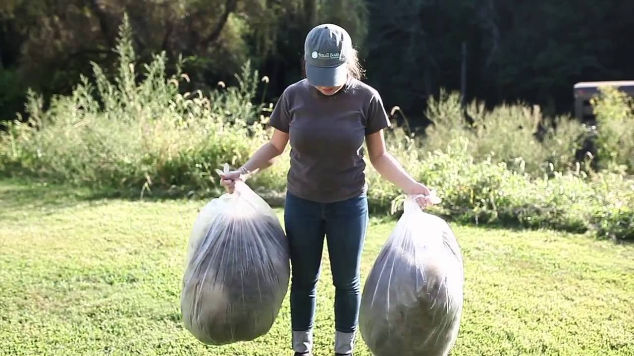 A Wool Story | Processing A Fleece In A Fiber Mill by A Girl Named Leney