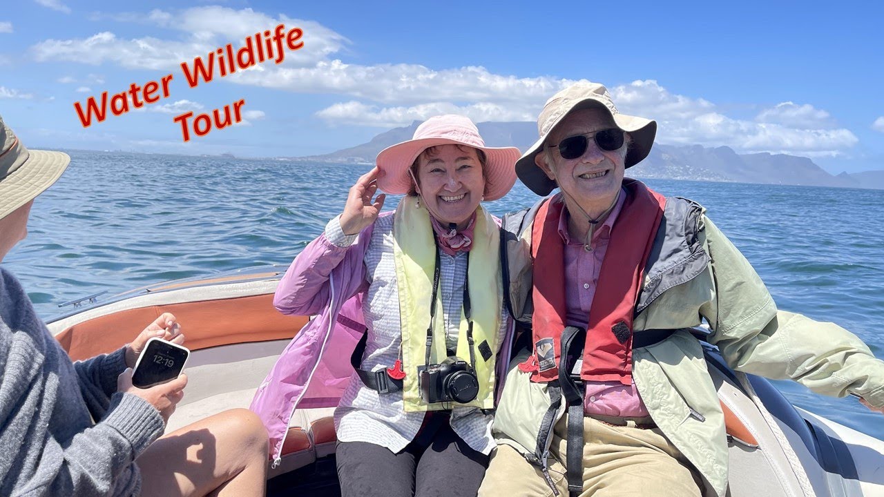 Water Wildlife Tour from Cape Town. Jan. 2023. HD.