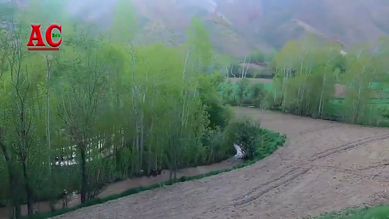 ۵ فوریهٔ ۲۰۲۶