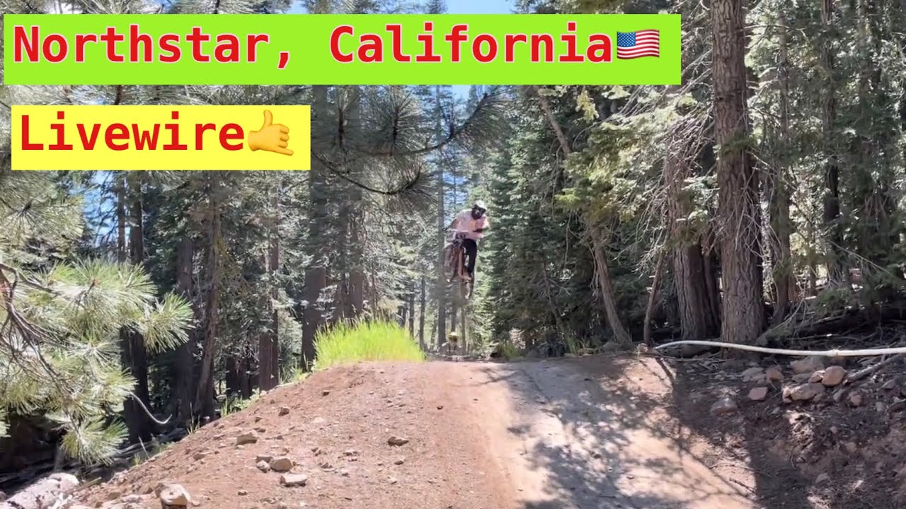 LiveWire mtb run in Northstar California🇺🇸