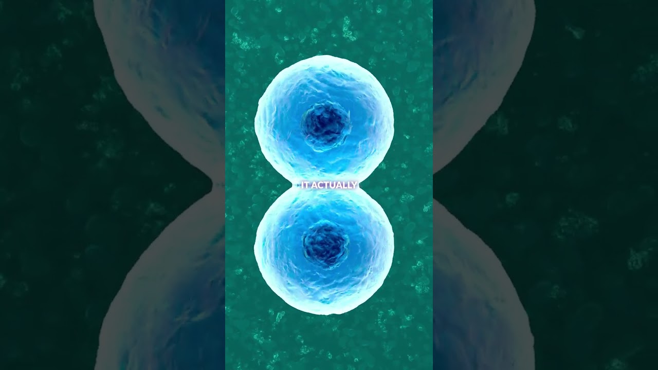 NAD+ IV Therapy