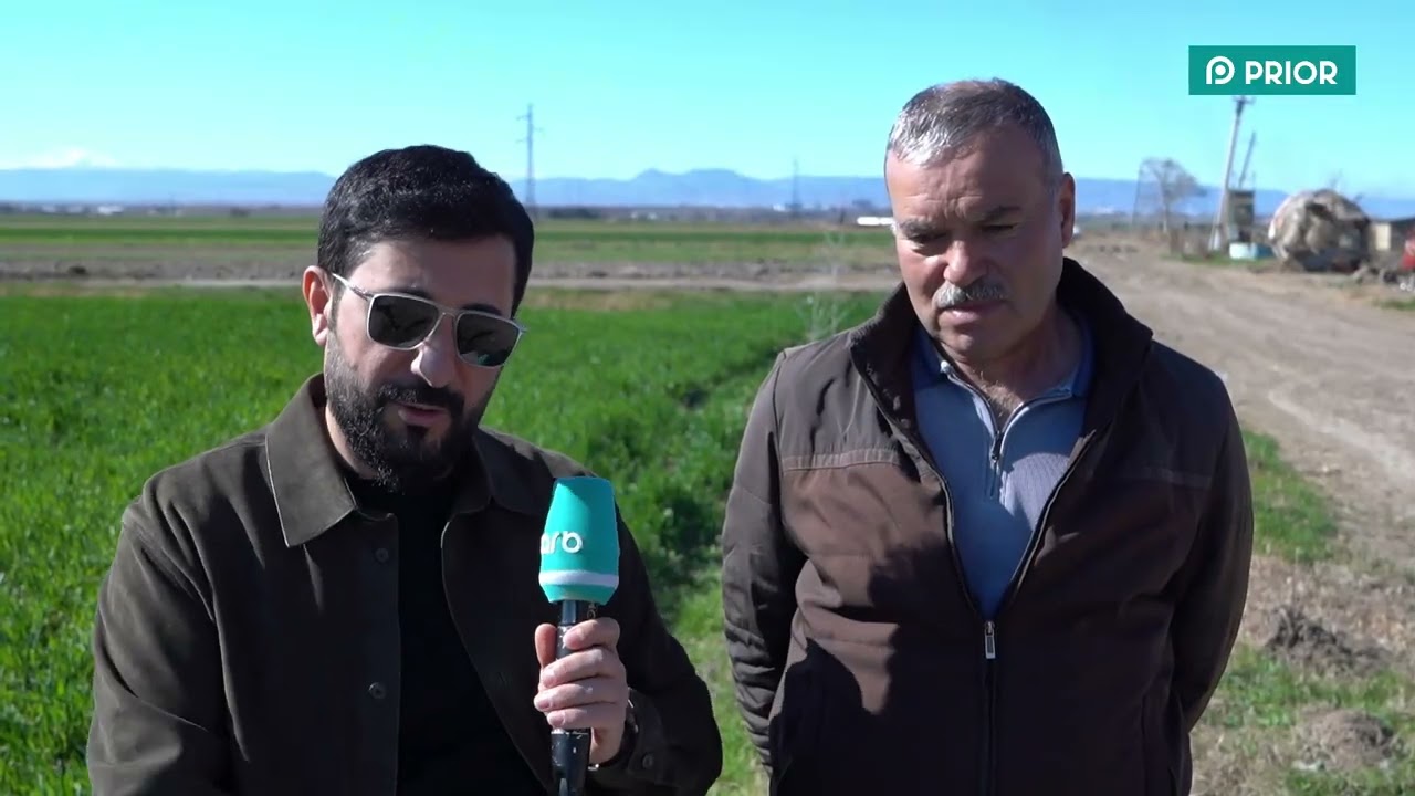 🌾Məhsuldarlıq növbəli əkinlə və müasir traktorla mümkündür.