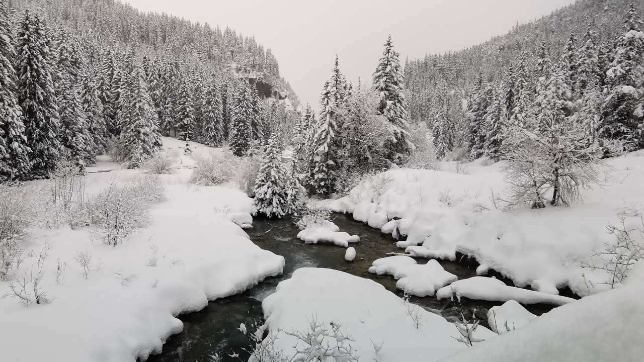 Courchevel 4 au 11 janvier 2026