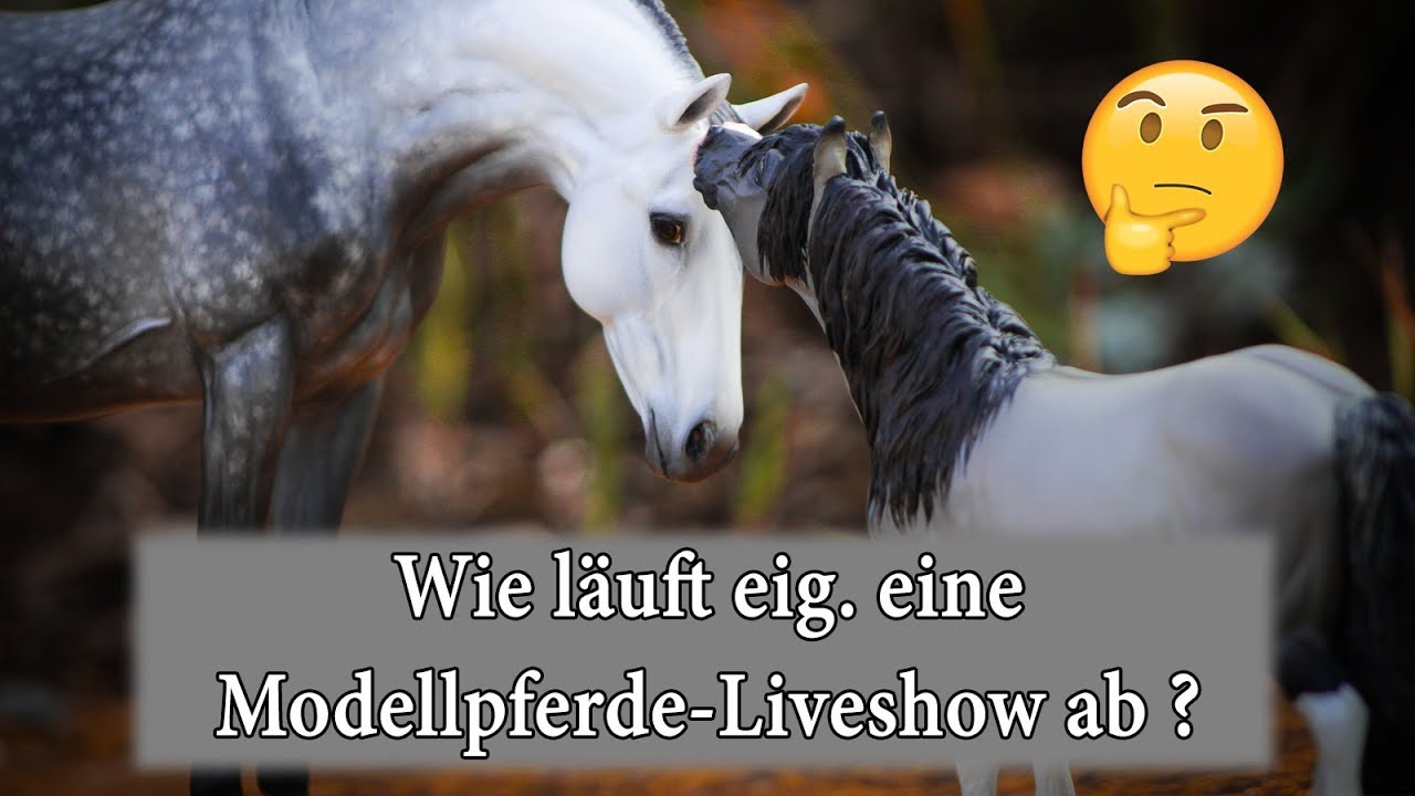 Wie l&auml;uft eig. eine #Modellpferde-Liveshow ab?🤔 | HD