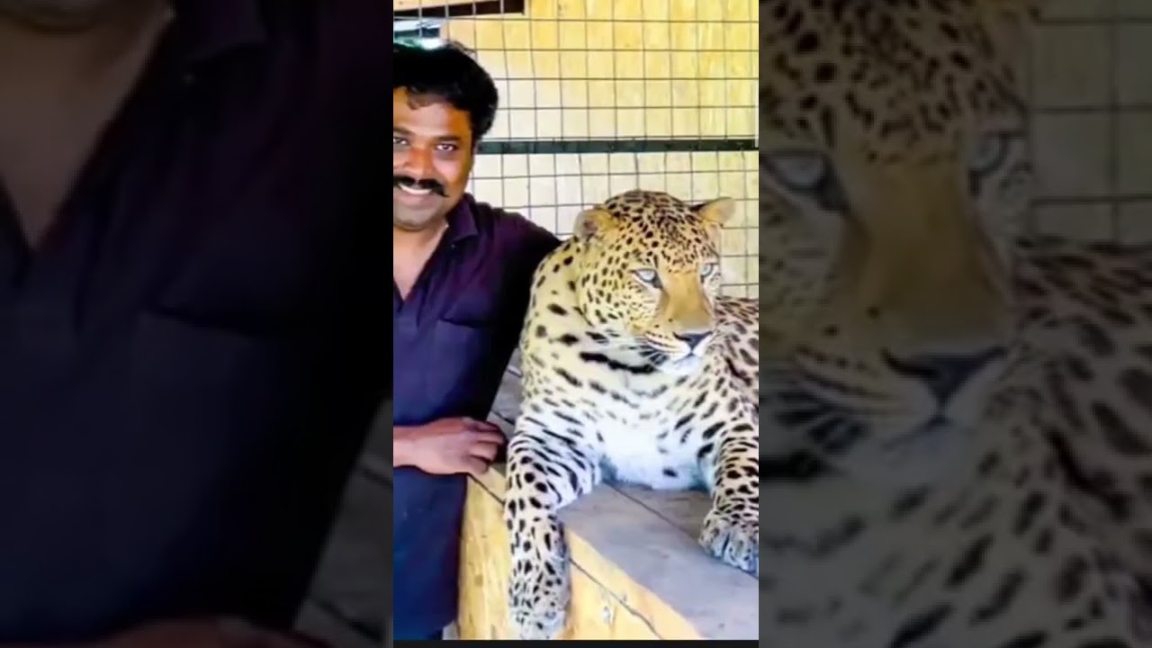 #KTR #KCR #jaguarkumar #youtubeshorts #shorts