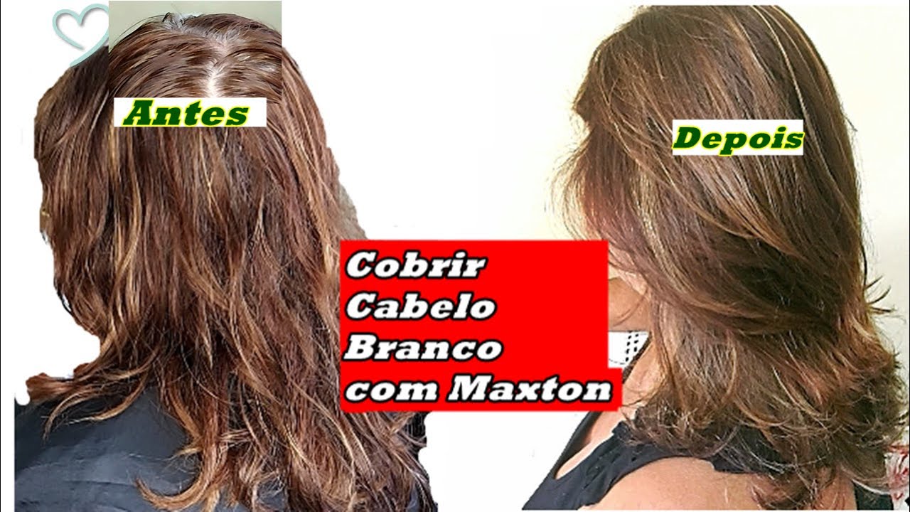 Cobertura De Cabelos Brancos Com 7 0 Da Maxton