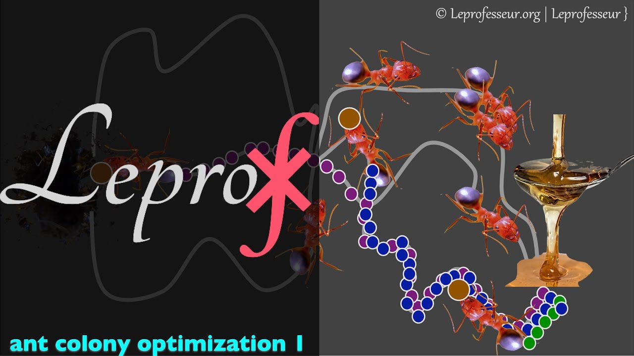 ⨘ } Algorithms } 45 } Ant Colony Optimization } Mathematical Formulations } LE PROF }