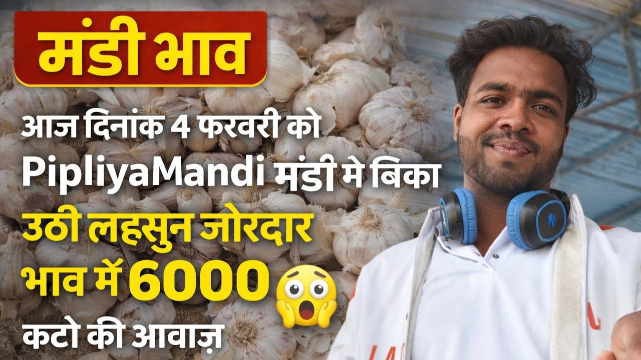 आज लहसुन बिका ज़ोरदार भाव में PipliyaMandi  Garlic sold at a bumper price today..