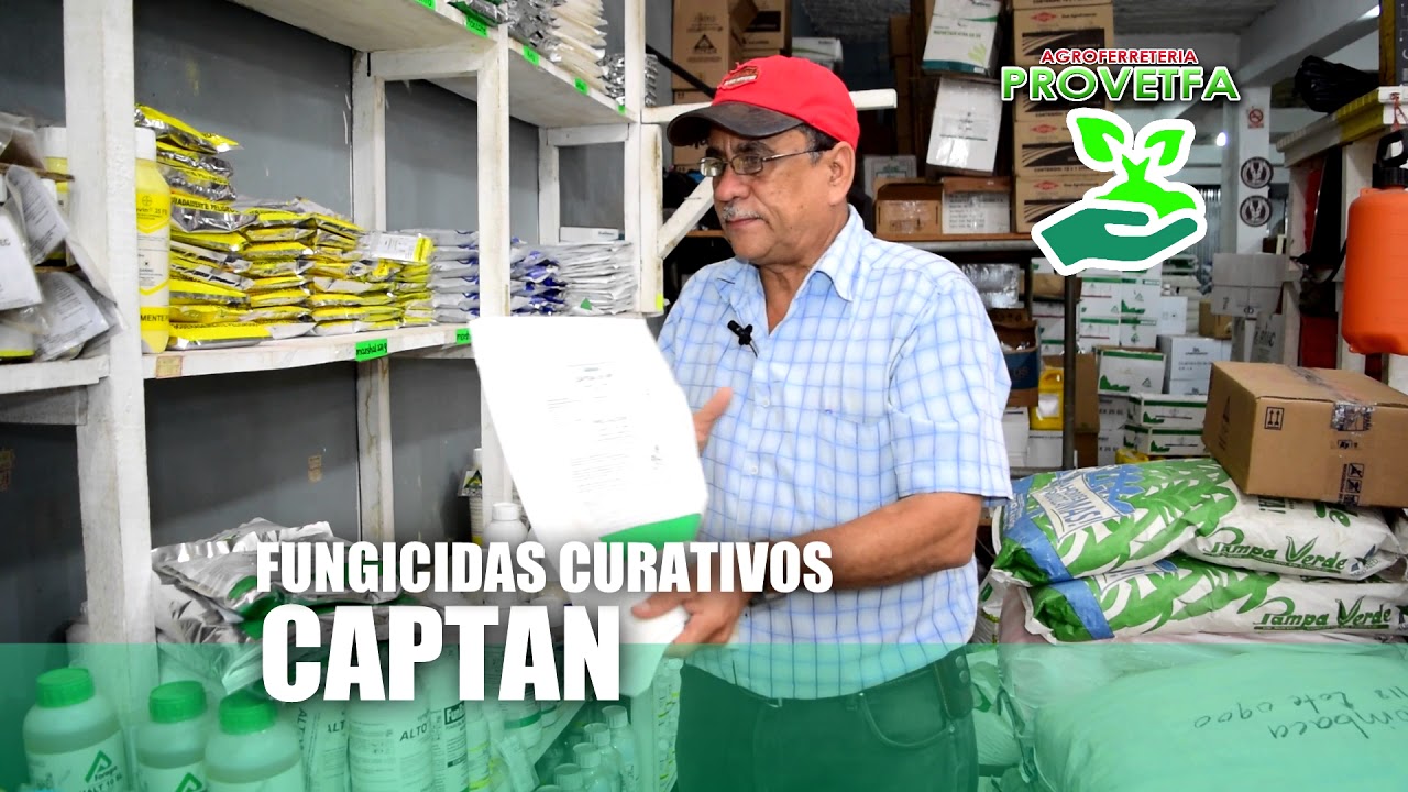 TIPOS DE FUNGICIDAS - PROVETFA