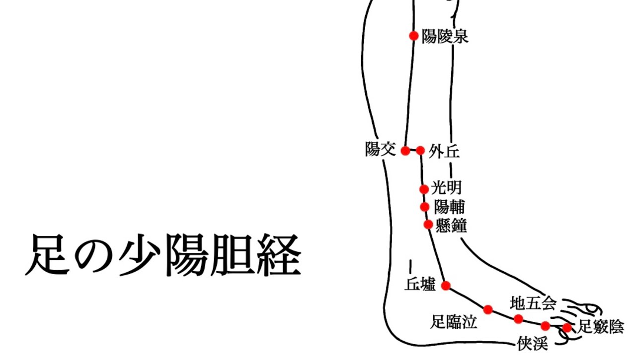 【訂正版】【聞くだけ見るだけ】足の少陽胆経を読むだけの動画【聞き流し】