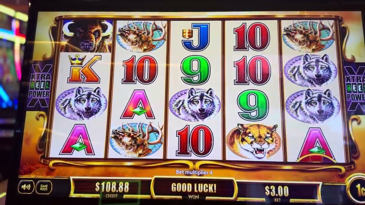Buffalo link, $3 bet Red Garter casino west wendover Nevada.