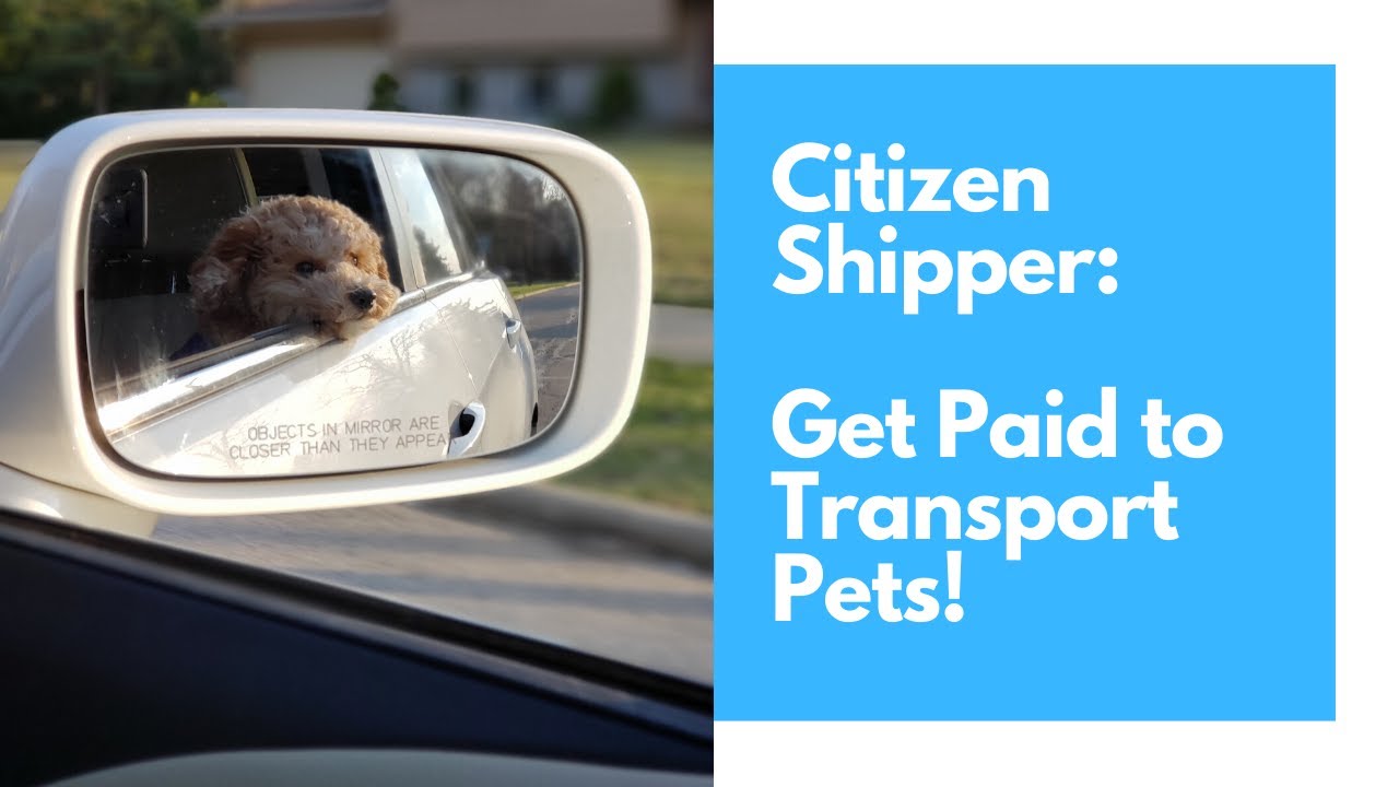 CitizenShipper |  Across the US | Easy Way to Transport Anything | DRIVERS NEEDED!