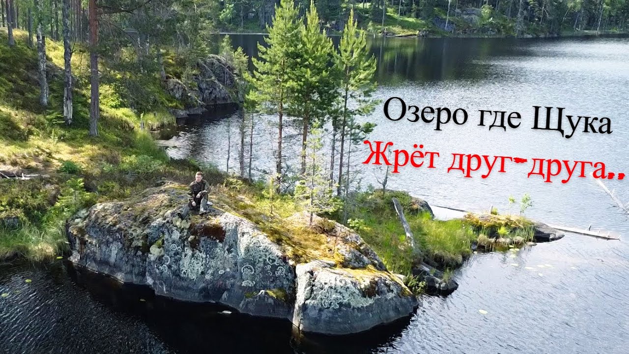 Одиночная Рыбалка на Таёжном Озере| Глушь где Живёт Медведь UHD