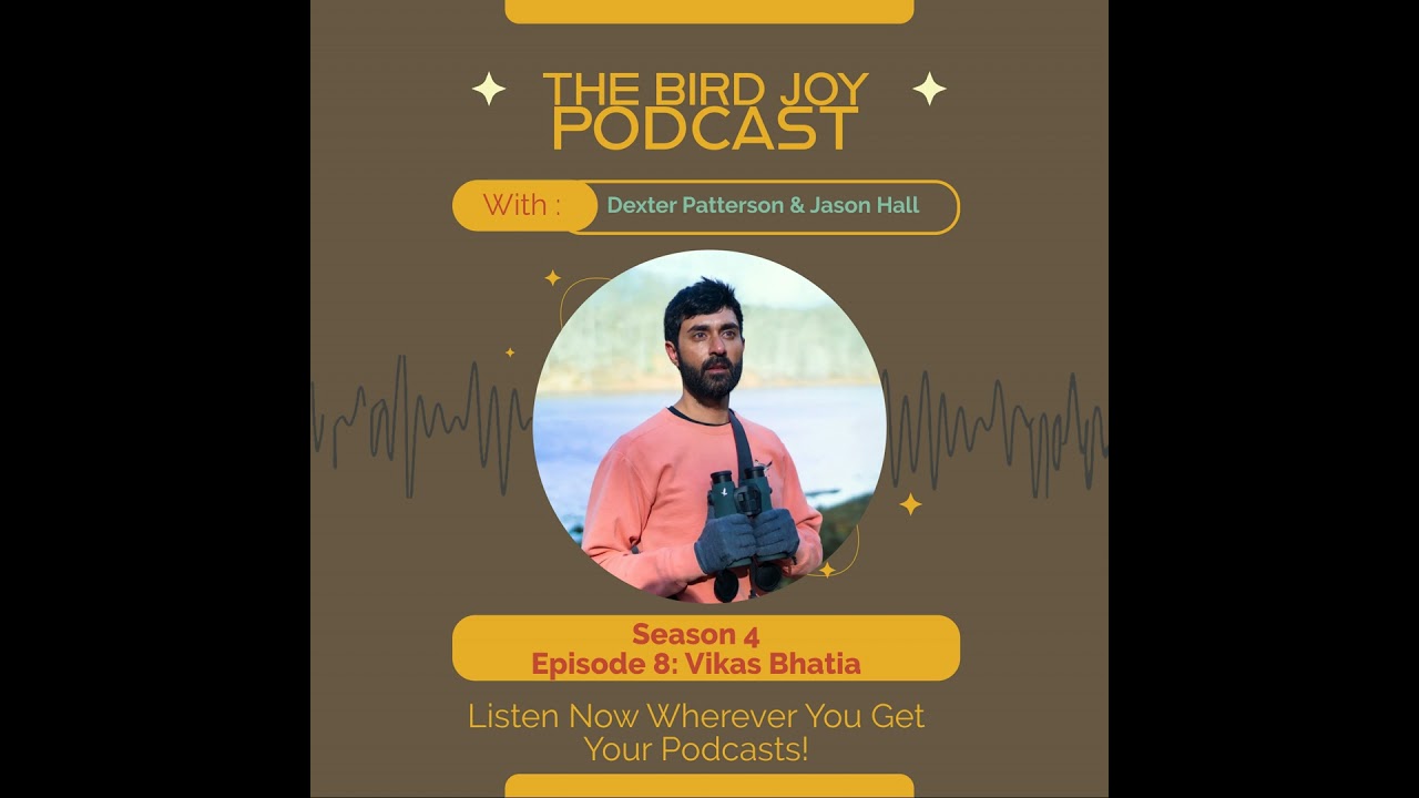Sound, Story, and the Wild: A Conversation with Vikas Wildlife