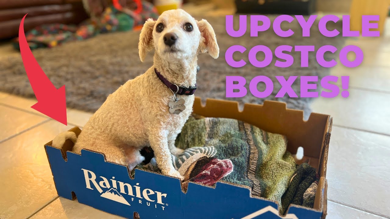 3 Super Creative Ways to Reuse Costco Boxes